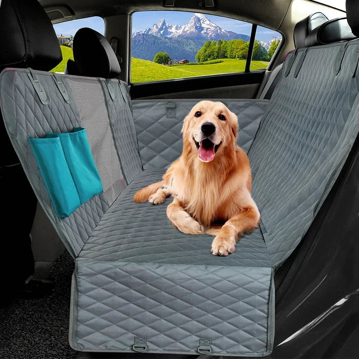 Comfort & Travel