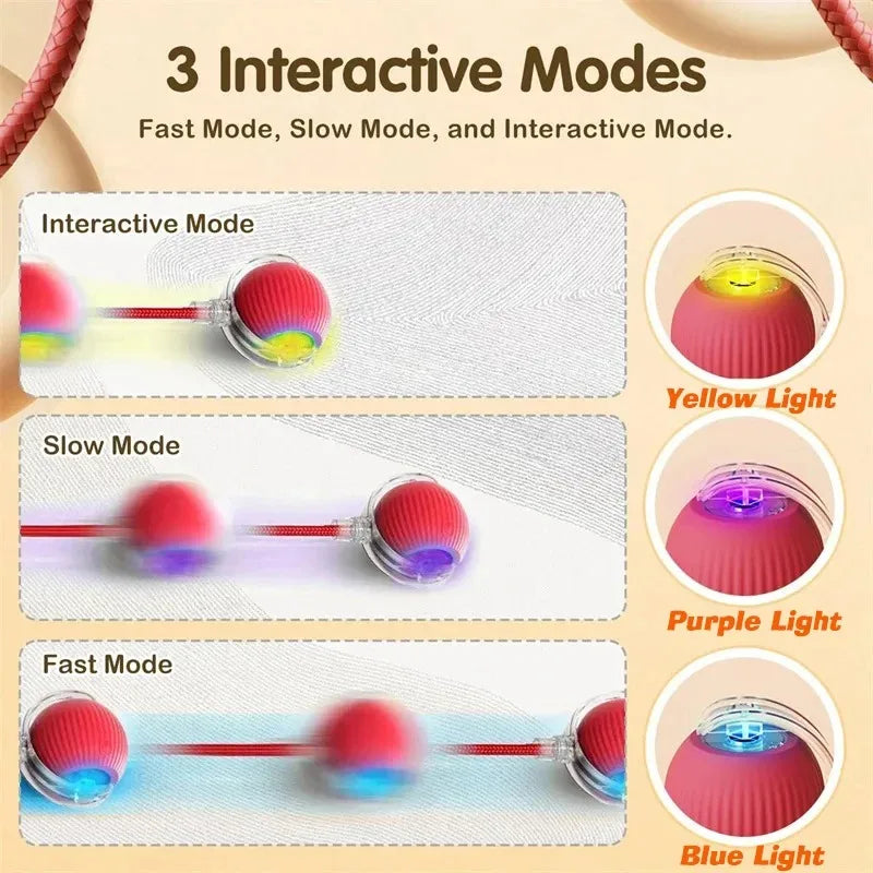 Zenvyra™ RollPlay Interactive Treat Ball